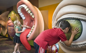 attraction-childrens-museum