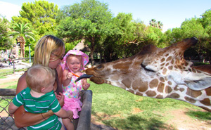 attraction-reid-park-zoo