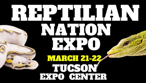 Tuscon Raptor Show Reptilian Nation Expo – Tucson Expo Center